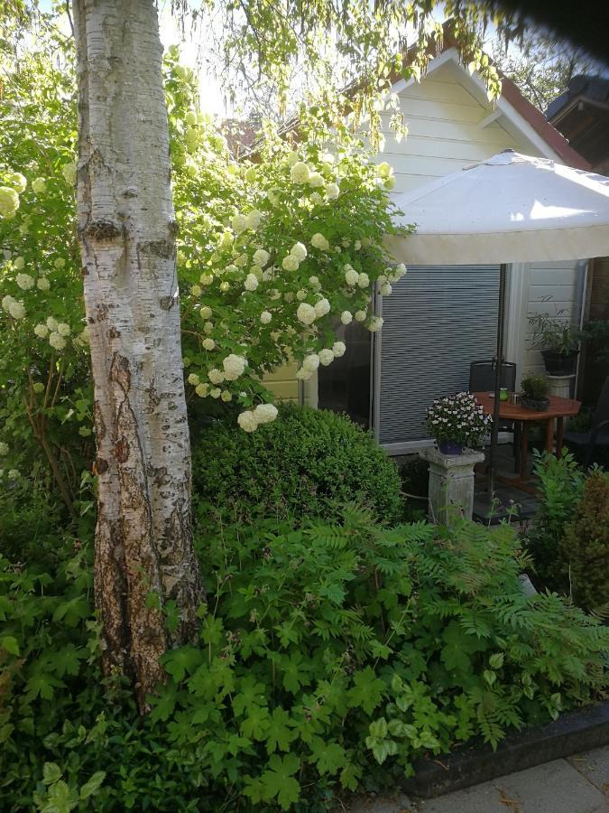 Maizon Middelburg Bed & Breakfast Bagian luar foto